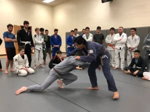 Diversity in Jiu Jitsu training